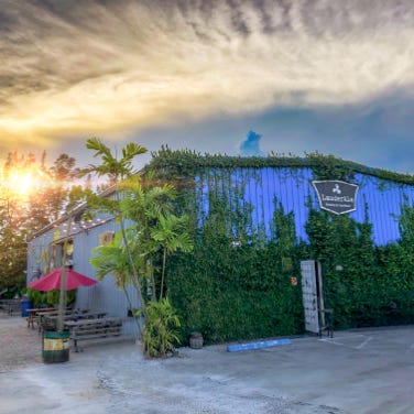 Bust of young male on plinth placed on white surface in dark studio in blue and red lights